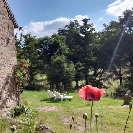 Magnifique Moulin au bord d'une riviere, calme absolu, piano Doyet Extérieur photo