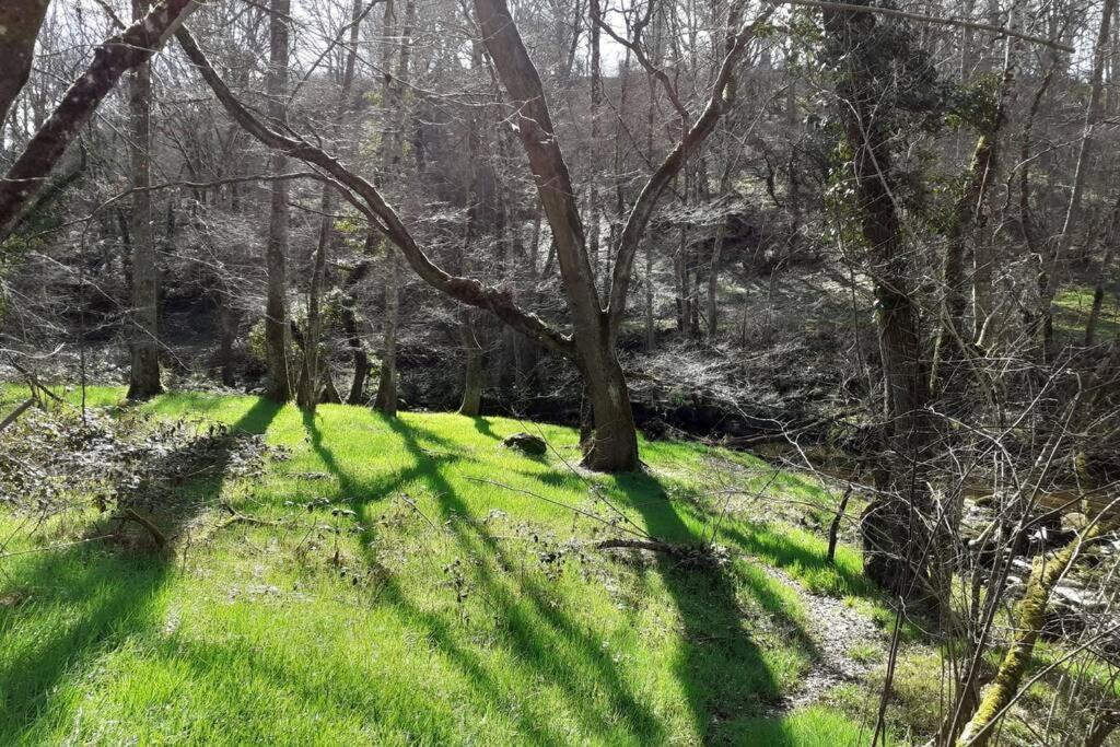 Сasa de vacaciones Magnifique Moulin Au Bord D'une Riviere, Calme Absolu, Piano