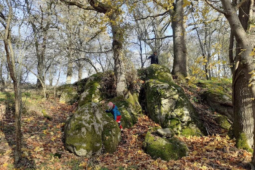 Magnifique Moulin Au Bord D'une Riviere, Calme Absolu, Piano * Doyet
