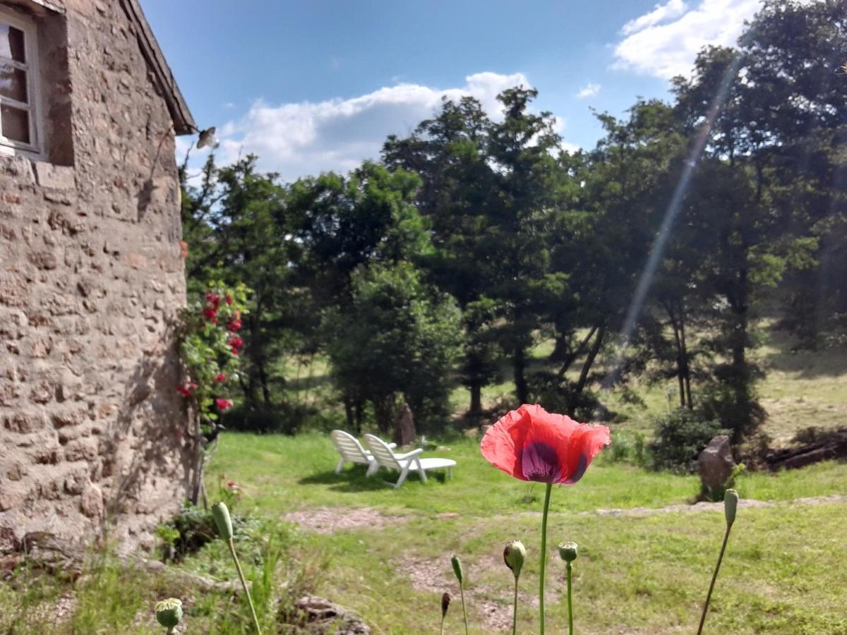 Сasa de vacaciones Magnifique Moulin Au Bord D'une Riviere, Calme Absolu, Piano *